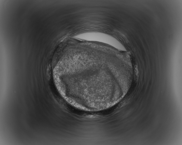 X0000084560364200703231804