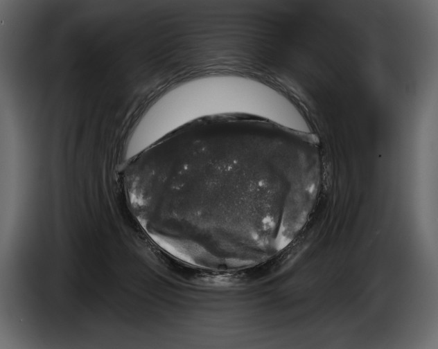 X0000084560365200703231804