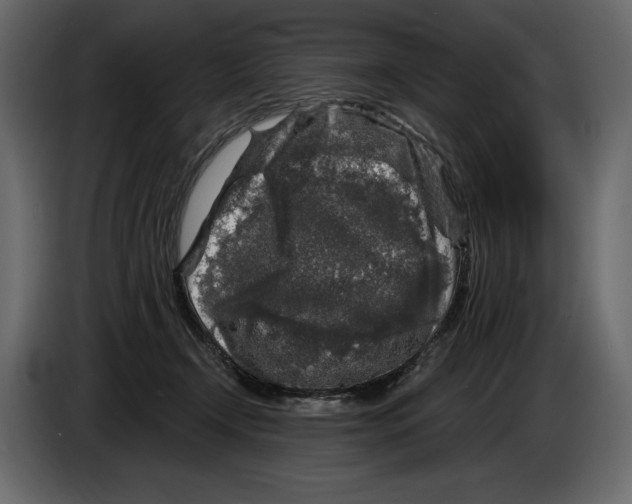 X0000084560366200703231804