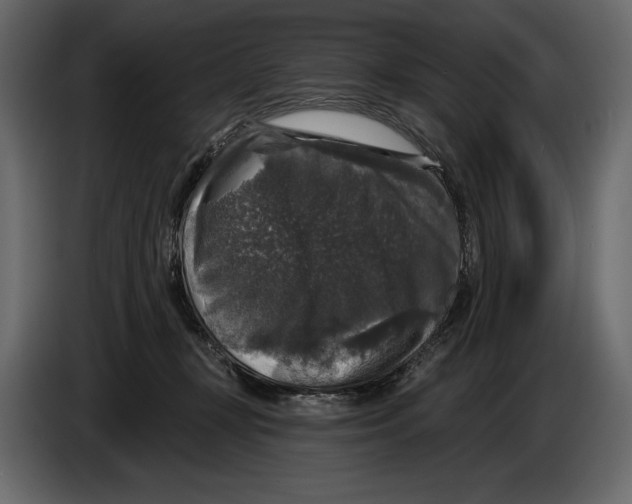 X0000084560367200703231804