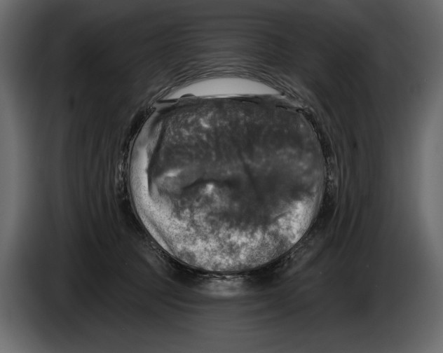 X0000084560369200703231804