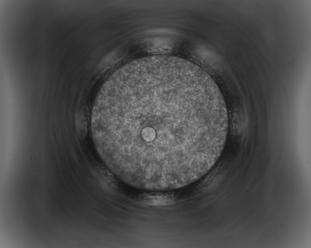 X0000084560370200703231804