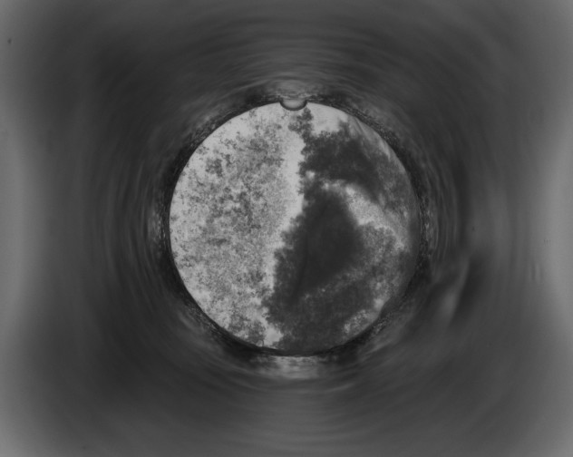 X0000084560371200703231804