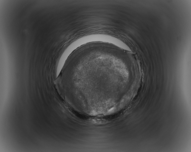 X0000084560372200703231804