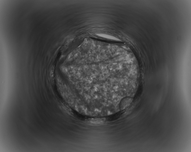 X0000084560373200703231804