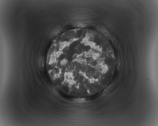 X0000084560374200703231804