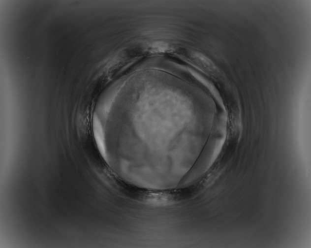 X0000084560376200703231804