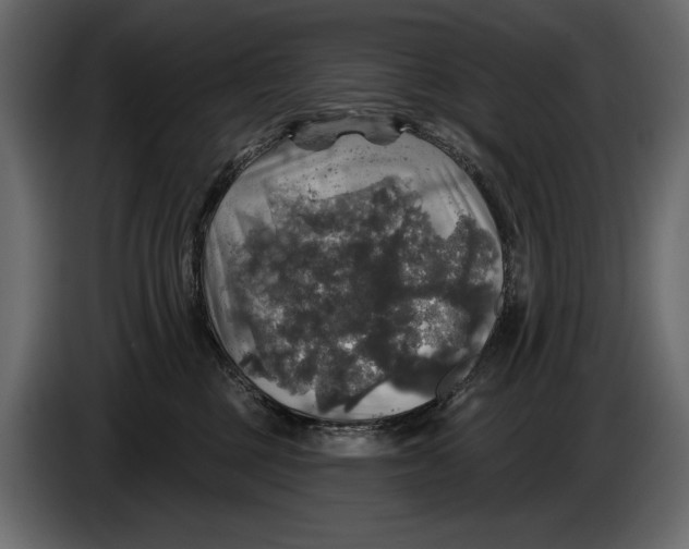 X0000084560377200703231804