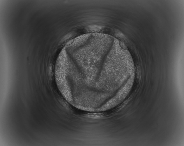 X0000084560378200703231804