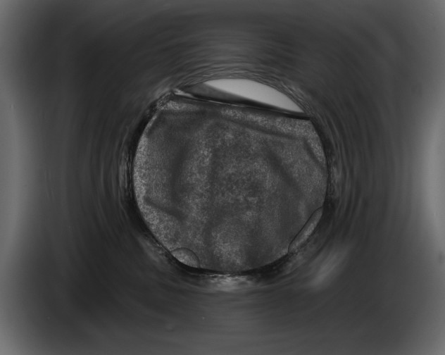 X0000084560379200703231804