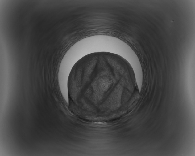 X0000084560380200703231805