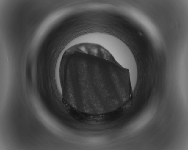 X0000084560382200703231805