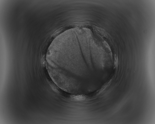 X0000084560383200703231805