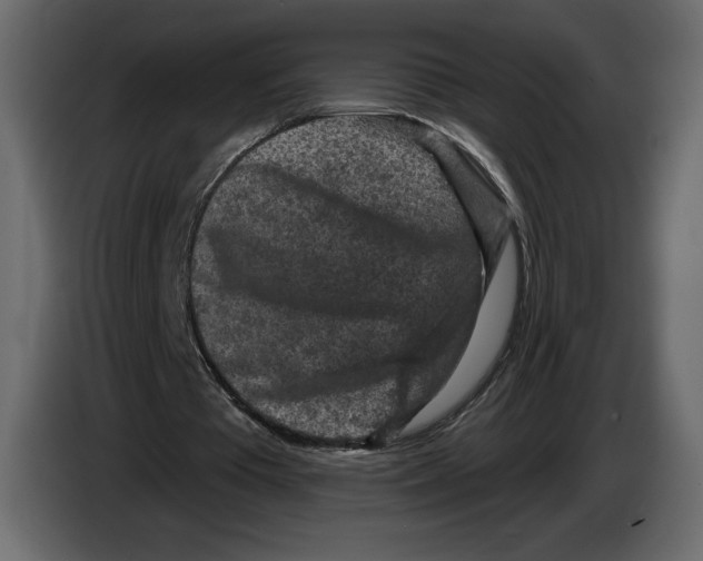 X0000084560385200703231804