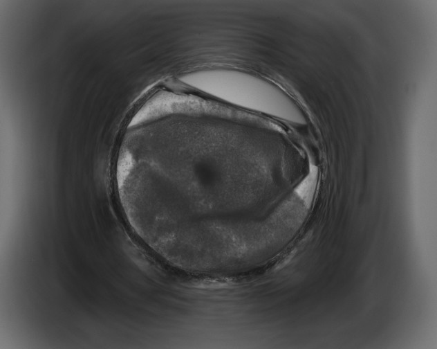 X0000084560386200703231804