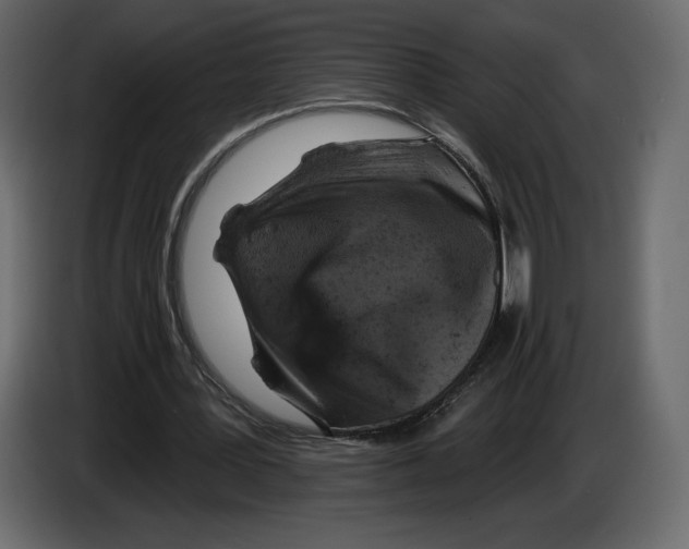 X0000084560387200703231804