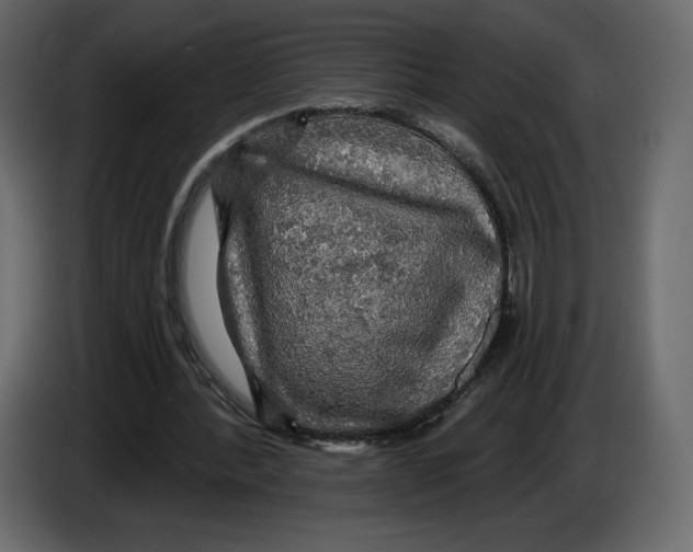 X0000084560388200703231804