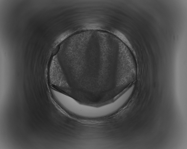 X0000084560389200703231804