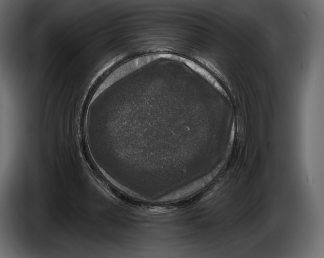 X0000084560390200703231804