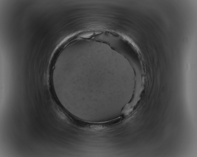 X0000084560391200703231804