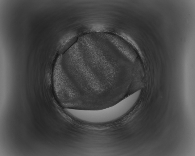 X0000084560393200703231804