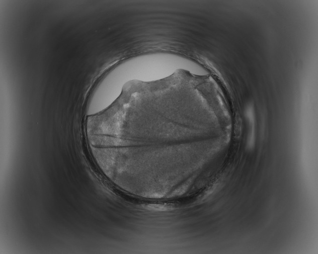 X0000084560394200703231804