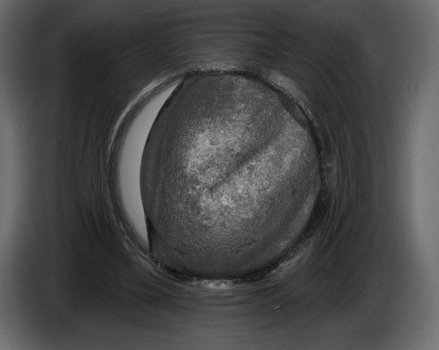 X0000084560395200703231804