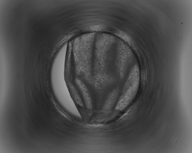 X0000084560397200703231804