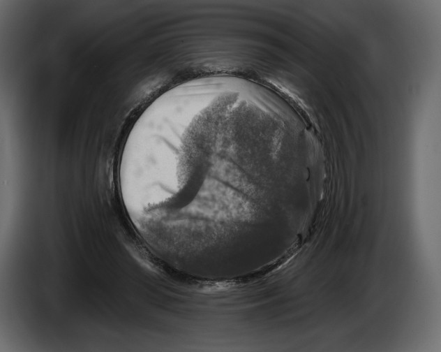 X0000084560398200703231804