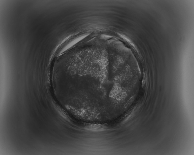 X0000084560399200703231804