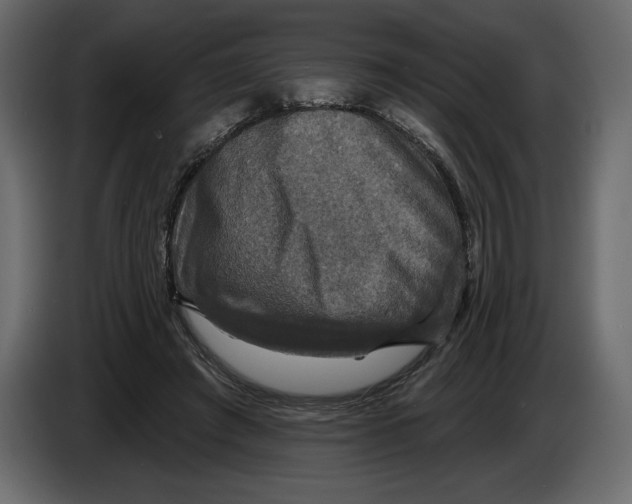 X0000084560401200703231804