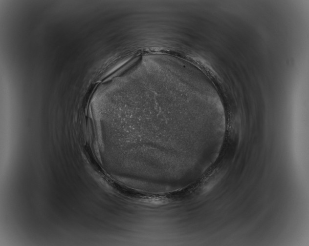 X0000084560402200703231804