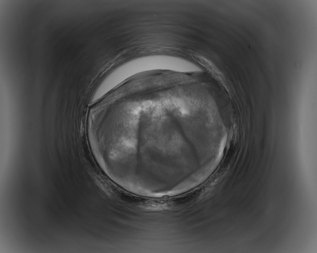 X0000084560405200703231804