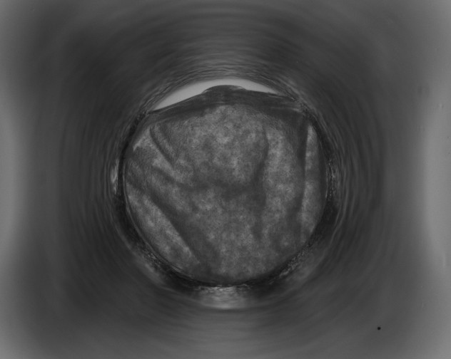 X0000084560406200703231804