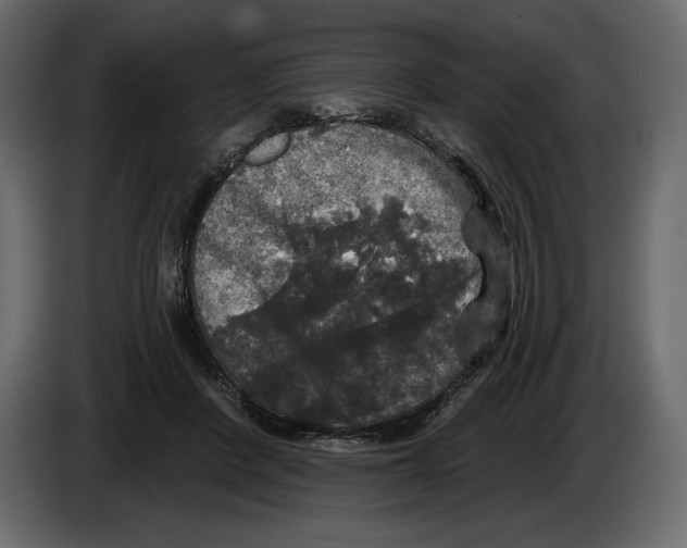 X0000084560408200703231804