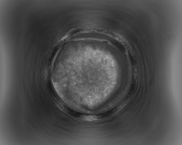 X0000084560409200703231804