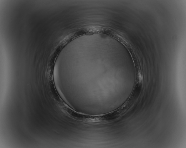 X0000084560411200703231804