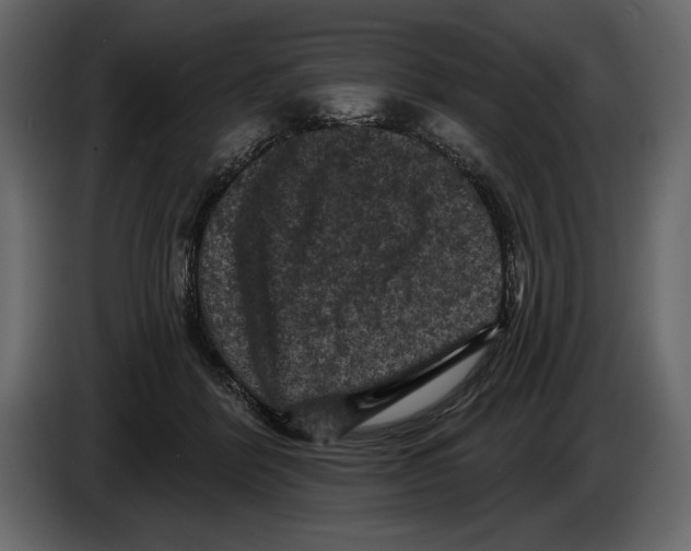 X0000084560412200703231804