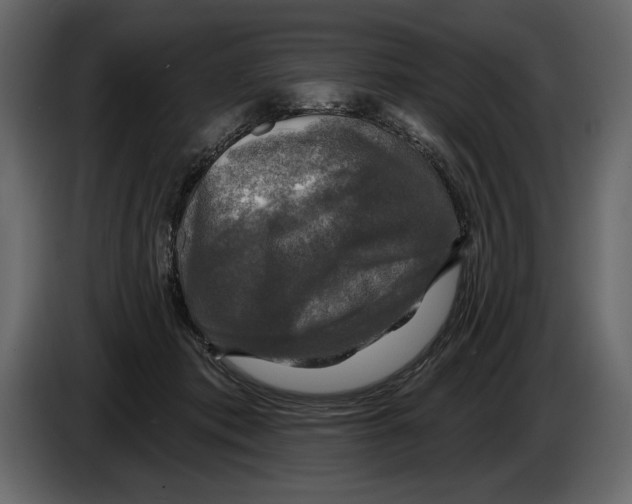 X0000084560413200703231803