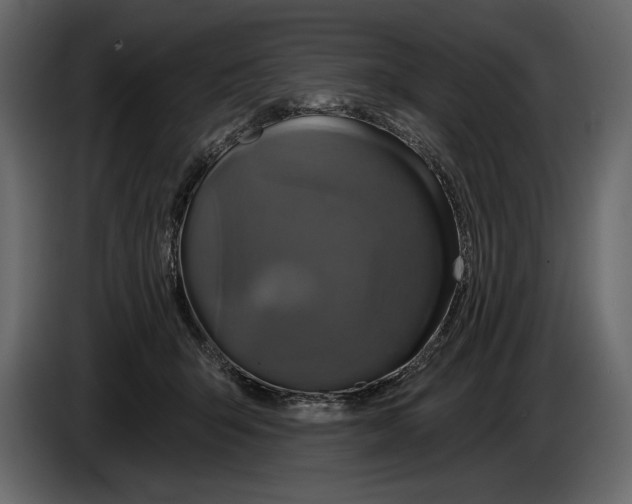 X0000084560415200703231803