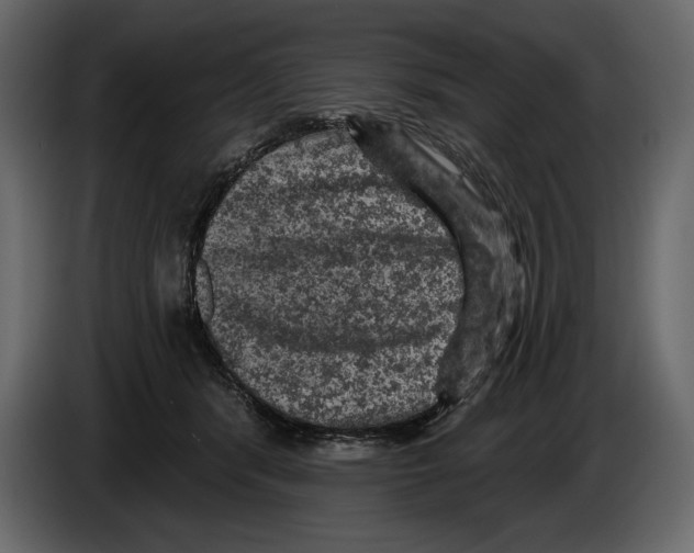 X0000084560416200703231803