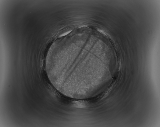 X0000084560417200703231803