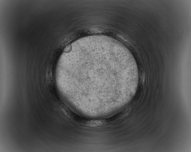 X0000084560418200703231803