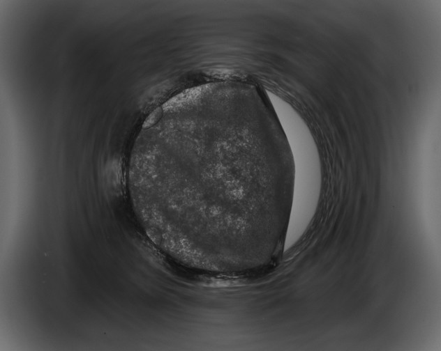 X0000084560420200703231803