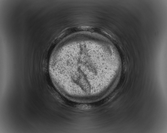 X0000084560421200703231803