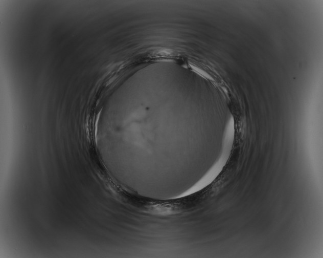 X0000084560423200703231803