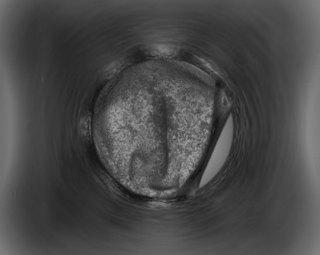 X0000084560425200703231803