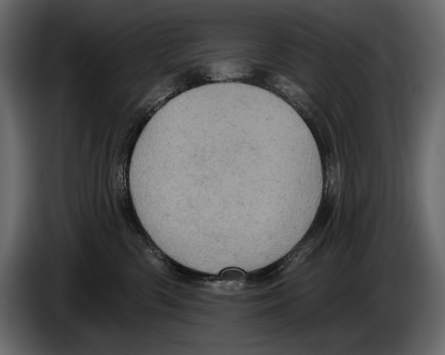 X0000084560426200703231803