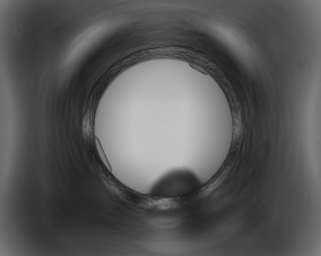 X0000084560431200703231803