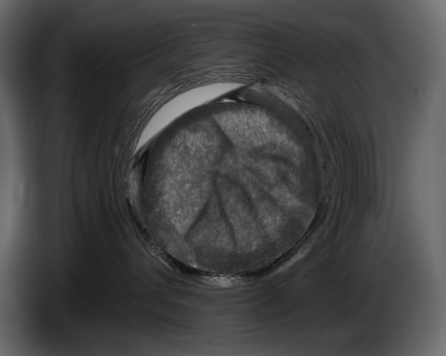 X0000084560432200703231803